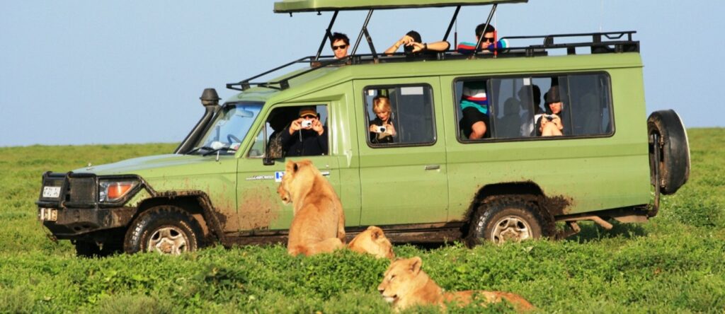 Self-Drive Safari Car Rental