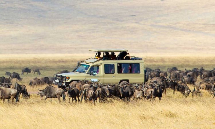 4×4 Safari Car Rental