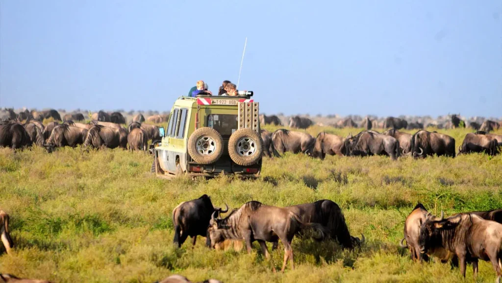 Self Drive 4×4 Safari Car Rental