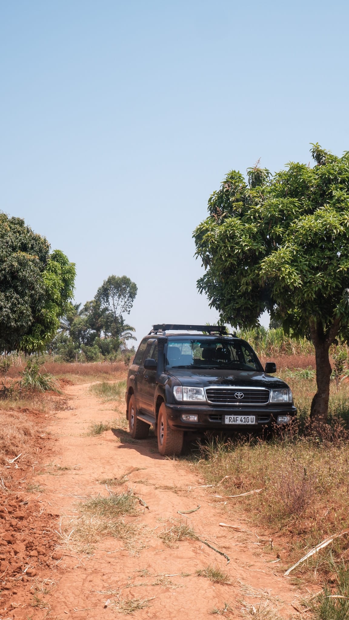 Kigali Car Rentals Self Drive Rwanda