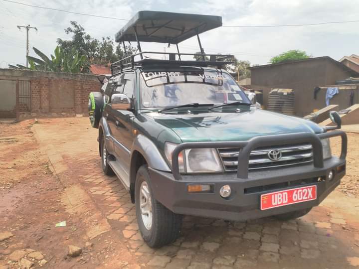 Self Drive Uganda