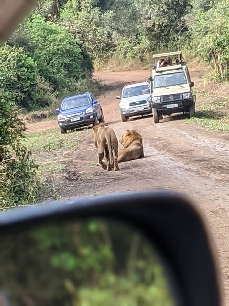 Short Term Car Rental in Rwanda