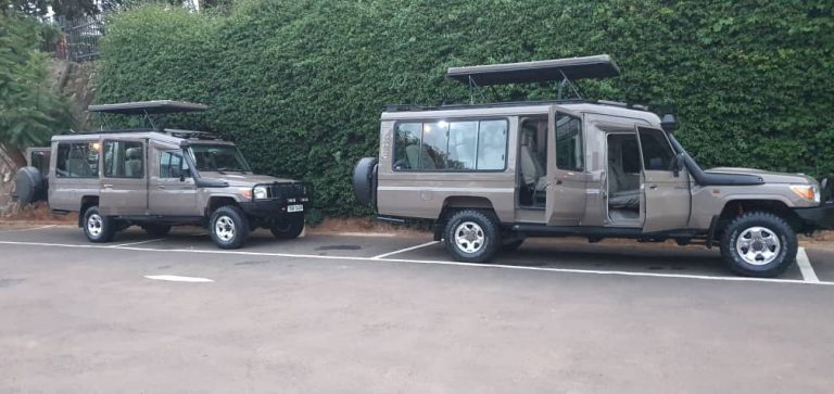 car hire from Kigali to Akagera