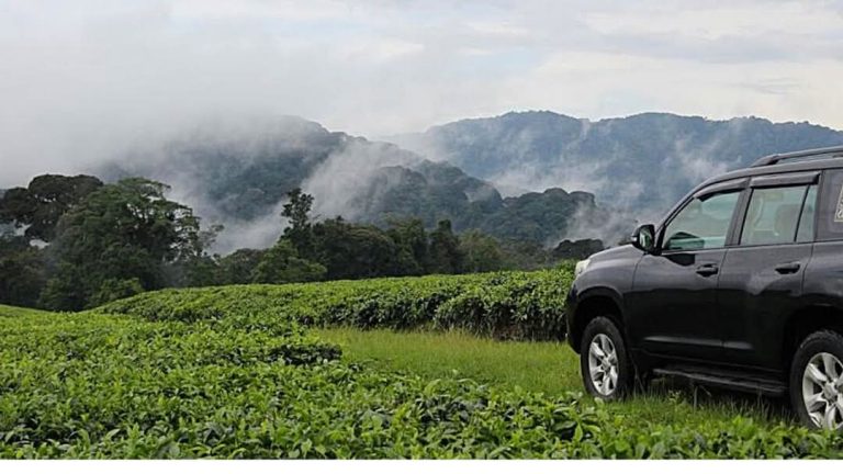Rwanda road trips