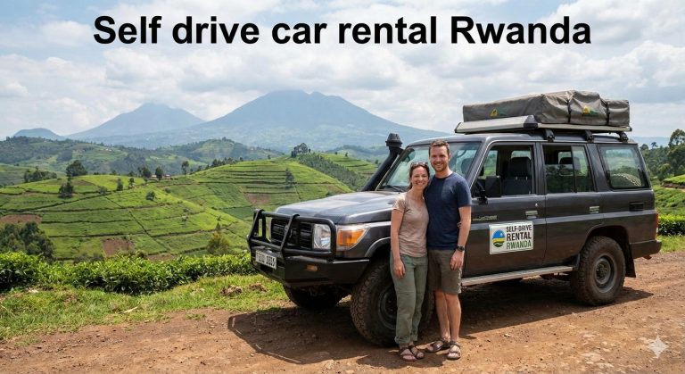 4x4 Car Rental for Gorilla Trekking in Rwanda