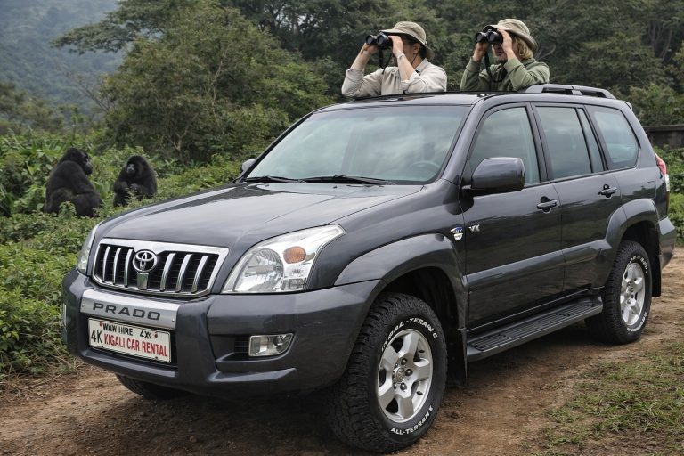 Gorilla Trekking Transport Rwanda