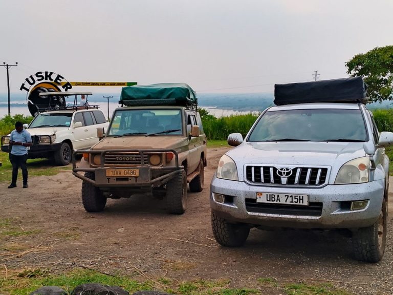Plan the perfect 7-day Rwanda self-drive trip with this detailed itinerary covering Kigali, Volcanoes National Park, gorilla trekking, Lake Kivu, Nyungwe Forest, driving tips, and travel advice.