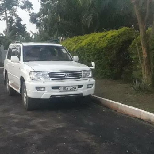 Wondering which car to rent for Rwanda's national parks? Compare the best 4x4 options for Volcanoes, Nyungwe & Akagera with Rwanda Rent Car.